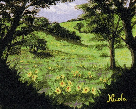 Summer Bloom — art by Nicola Leonard